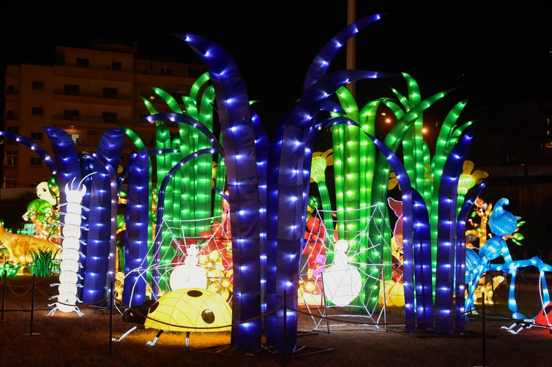 WONDERLAND A magical city of lights